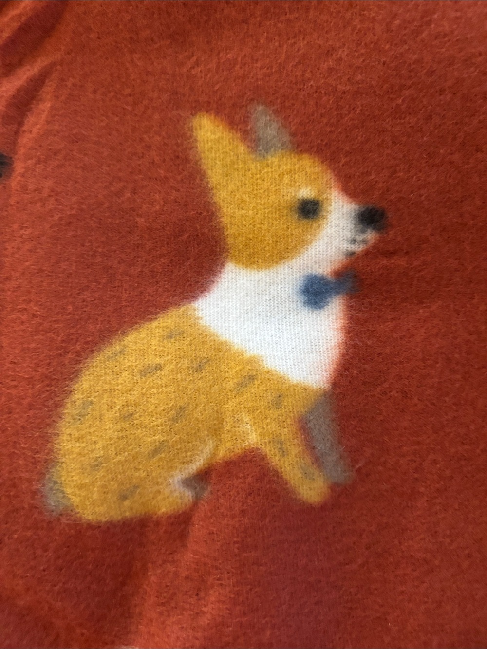 NWT Plush Rust Orange Dog Print Throw Blanket 50 X 60 - Picture 15 of 16